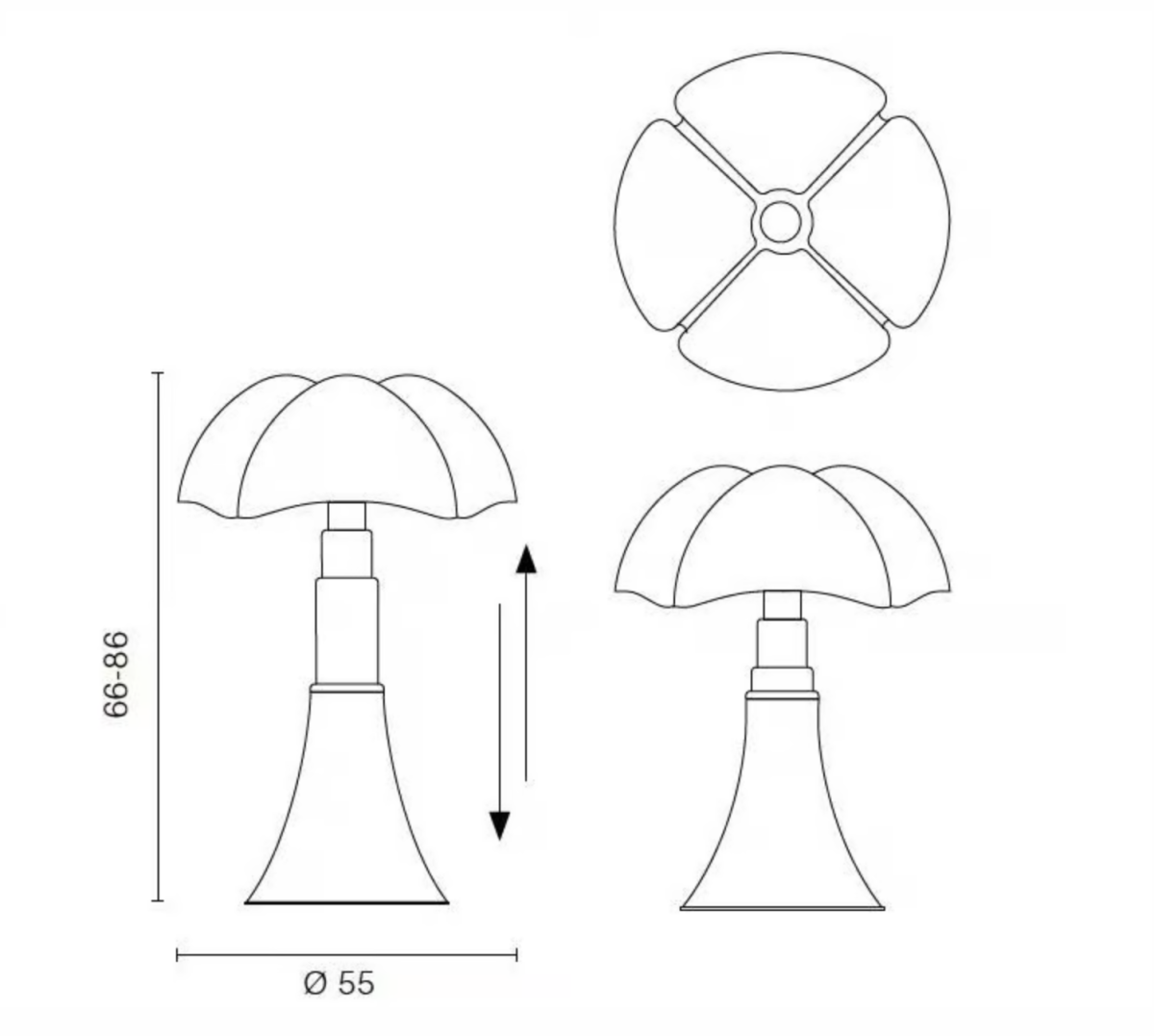 dimensions